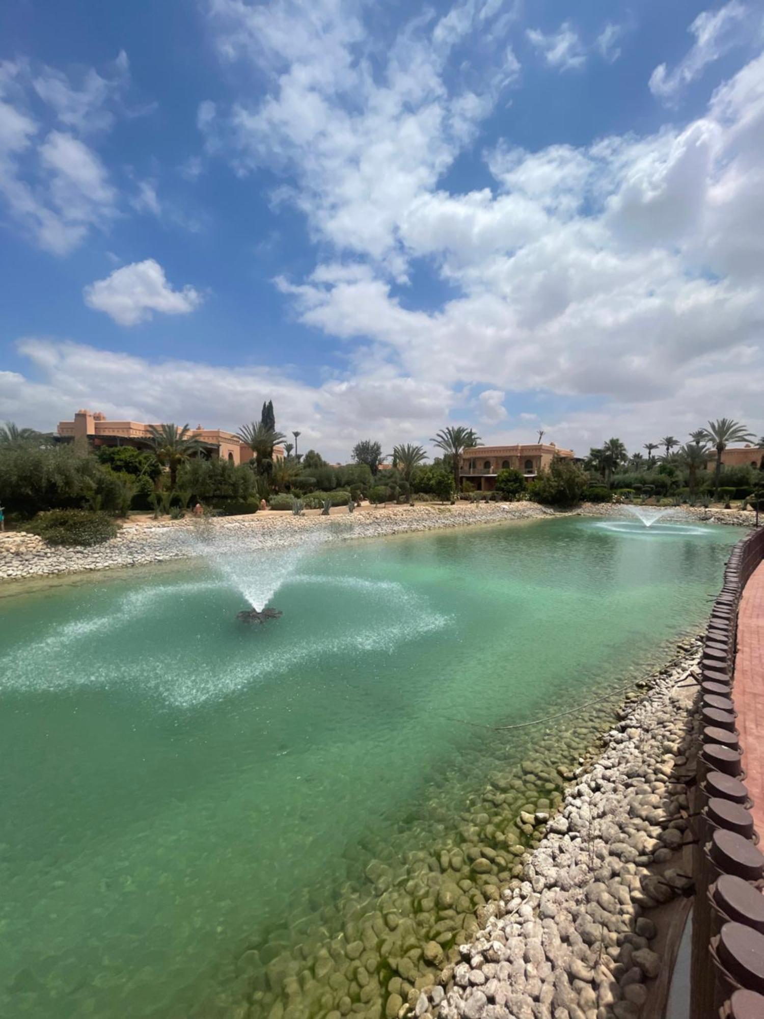 Palmeraie Piscine Wifi Appartement *