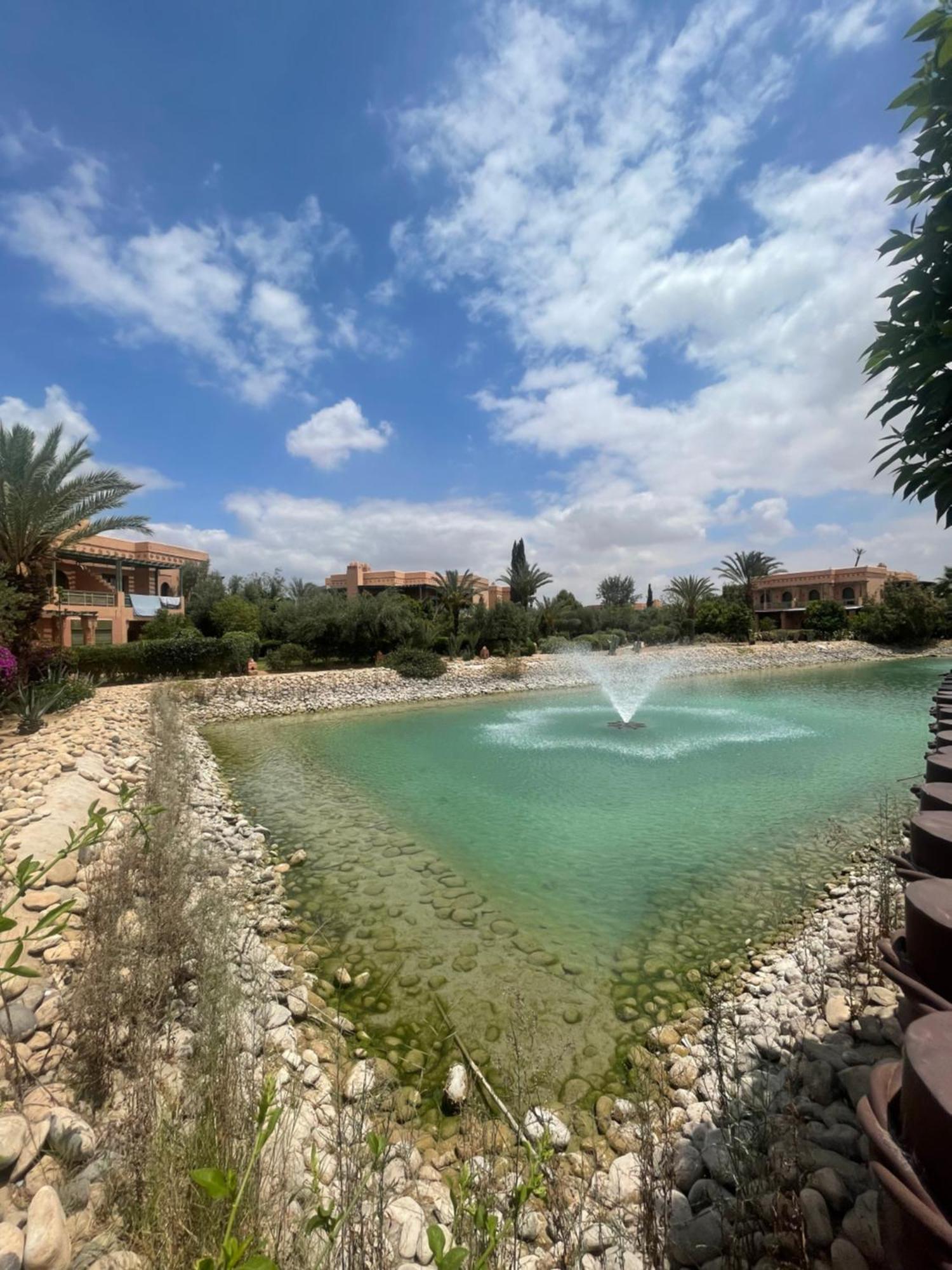 Appartement Palmeraie Piscine Wifi *